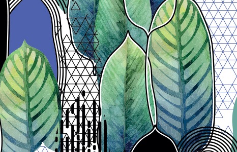 Drawing of a group of colourful leaves